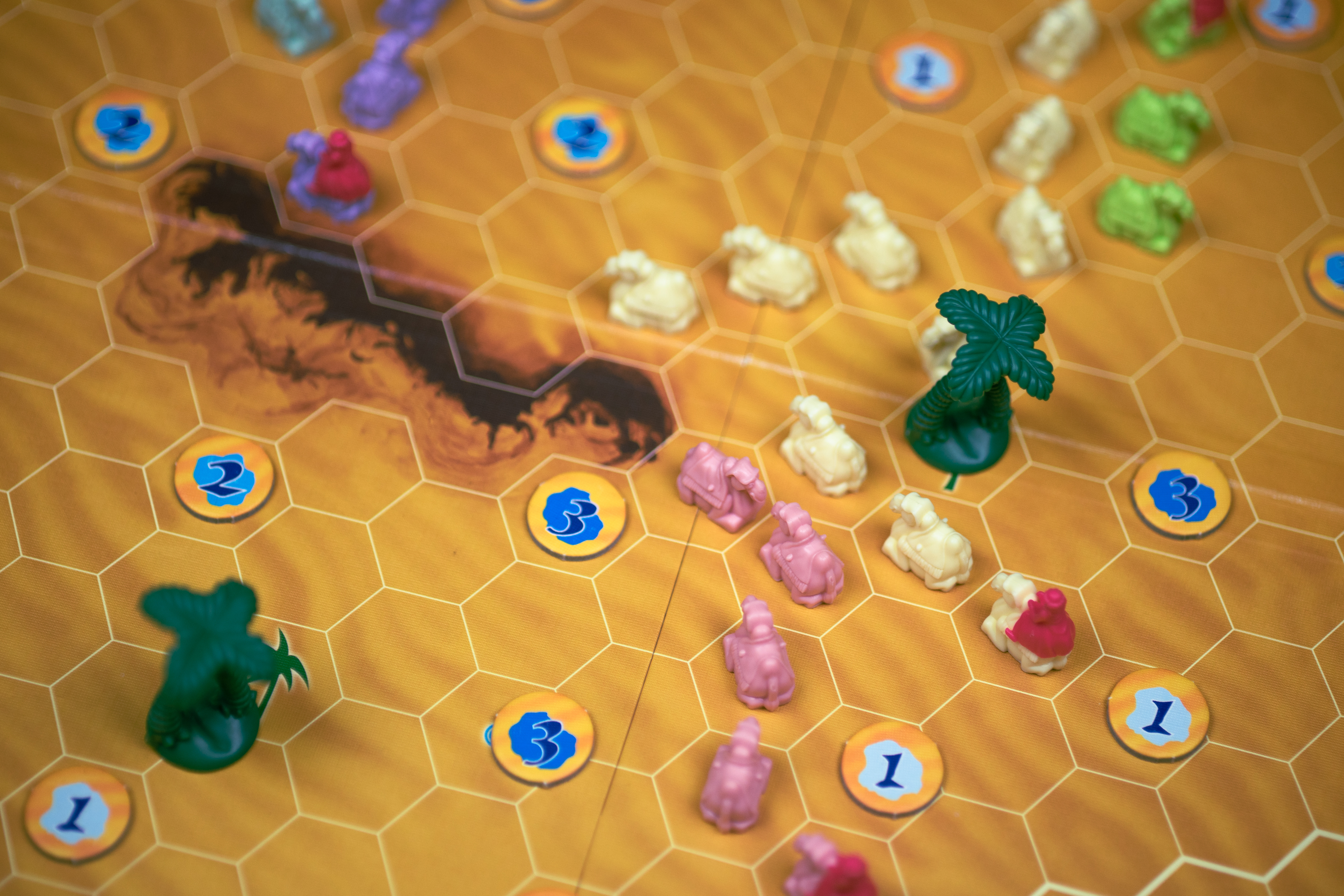 An in-progress game of Through the Desert. There are plastic camels around the board, as well as plastic palm trees.